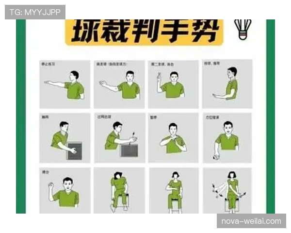 打手犯规是什么规则？新手必学的判罚标准解析