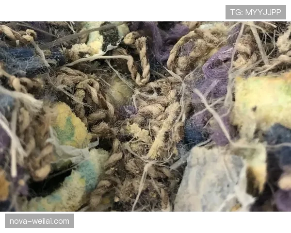 门将规则：禁区内手球与回传球处理标准解析